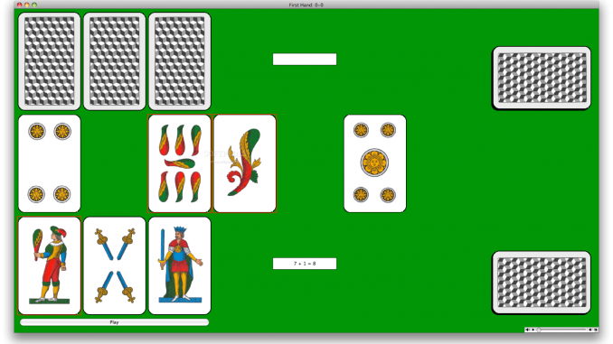 Scopa_1